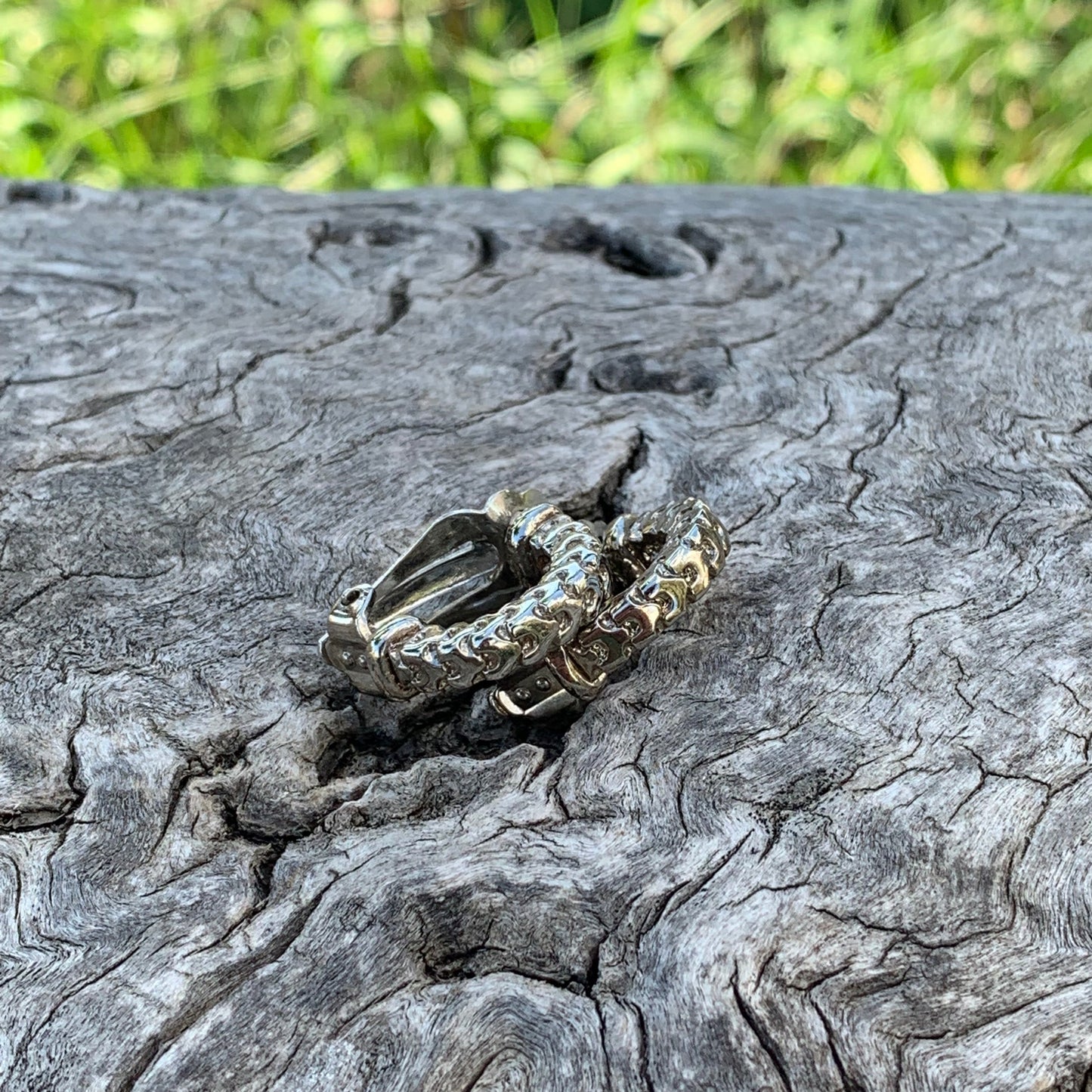 Insect on a tree trunk with grass in the background
