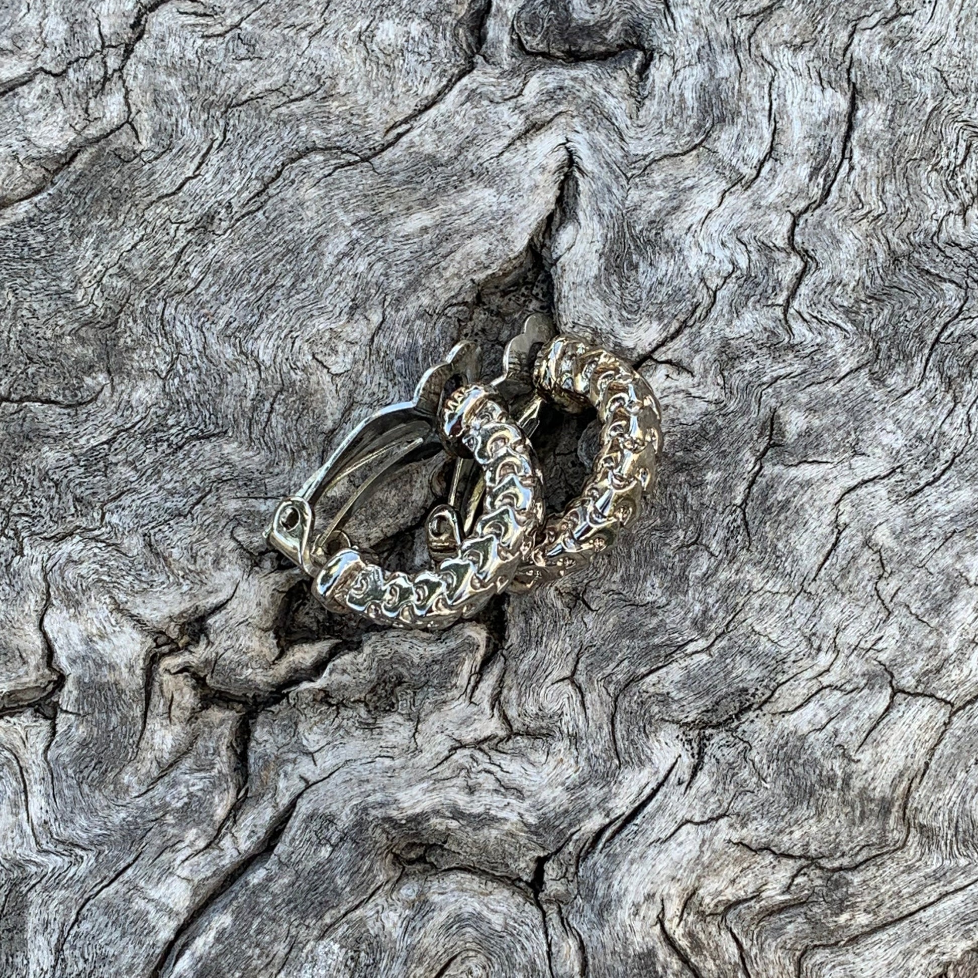 Silver ring with intricate design embedded in a textured stone surface